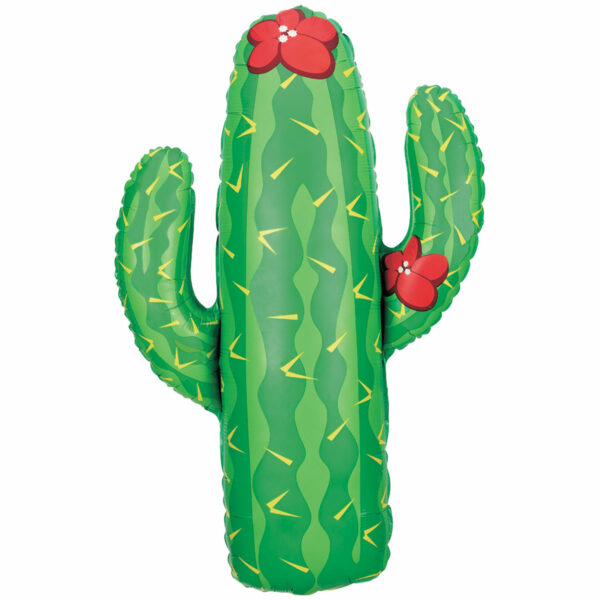 ballon cactus